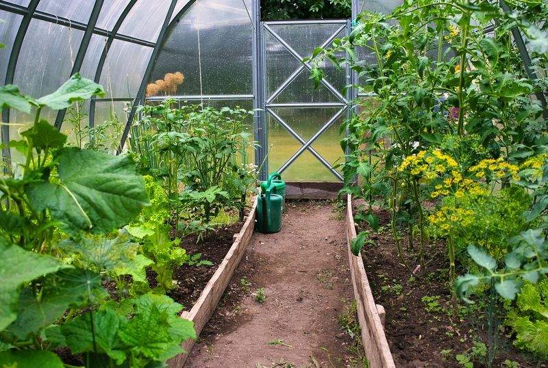 趣味の館 - Image 1